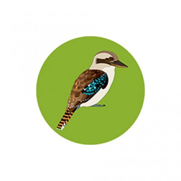 Bottle Opener + Magnet | Kookaburra